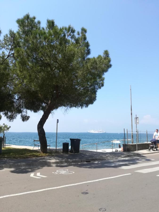 Appartement Mateja Piran